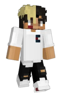 Kauadoa Minecraft avatar full body