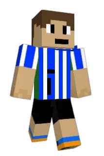 Kay1848 Minecraft avatar full body