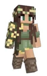 Custom render preview