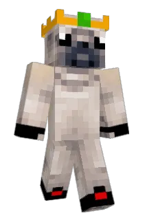Kaydster11 Minecraft avatar full body