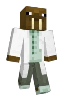 Kayla1D Minecraft avatar full body