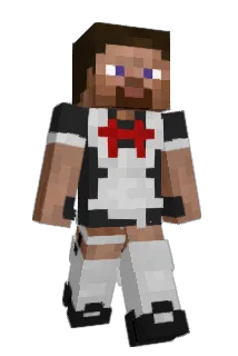 KiWi295 Minecraft avatar full body