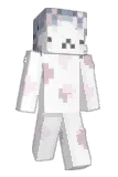Kietss Minecraft avatar full body