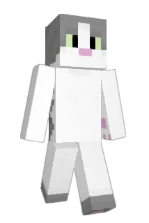 KiiW33 Minecraft avatar full body