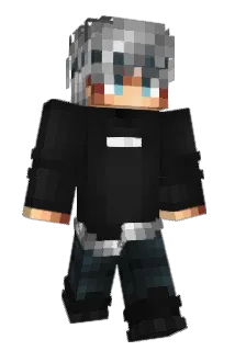 KiinqBrdx_ Minecraft avatar full body