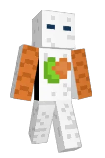 KillrSushii Minecraft avatar full body