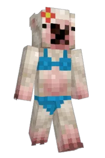 Killzome522 Minecraft avatar full body