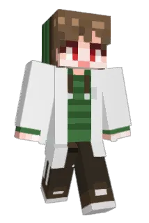 Kim_Ini Minecraft avatar full body
