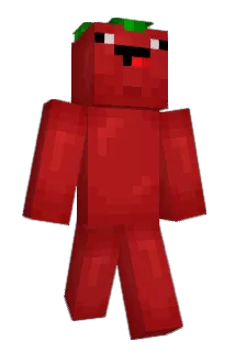 KingTomate Minecraft avatar full body