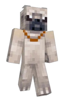 KingZach141 Minecraft avatar full body