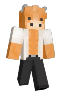 Kingwj0312 Minecraft avatar full body