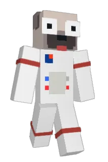 Kiset Minecraft avatar full body