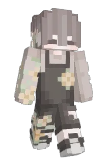KitchenSync1 Minecraft avatar full body