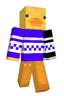 KittyLitterSock Minecraft avatar full body