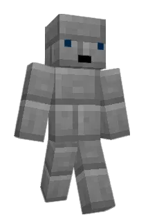 Kiwiaristo Minecraft avatar full body