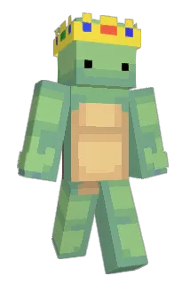 Kiwibirddd Minecraft avatar full body