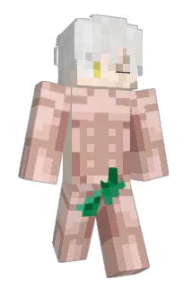 Knaout Minecraft avatar full body