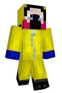 Knuclesandtails Minecraft avatar full body
