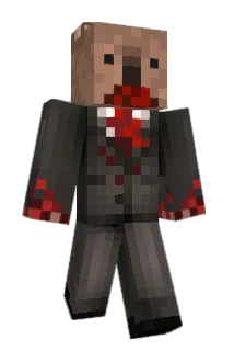Koala_Steamed Minecraft avatar full body