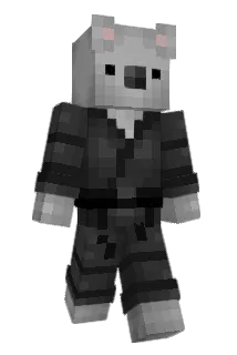 Koalinator Minecraft avatar full body