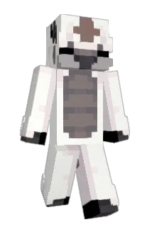 Kobead Minecraft avatar full body