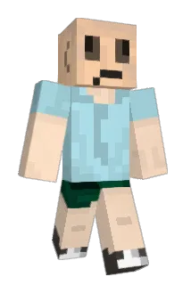 Kochzin Minecraft avatar full body