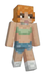 Custom render preview