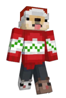 Koidoge Minecraft avatar full body