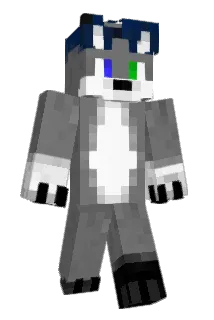 Kokosak150 Minecraft avatar full body