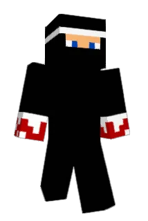 Komik8 Minecraft avatar full body