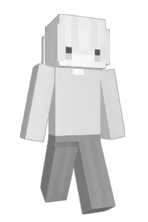 Kontingenz Minecraft avatar full body