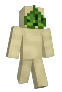 KorokGuy Minecraft avatar full body