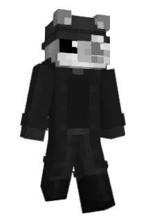 Kostritza Minecraft avatar full body