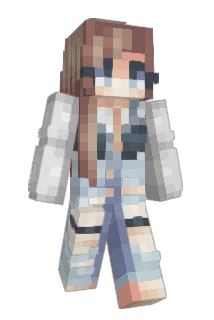 Kt378 Minecraft avatar full body