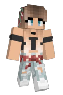 Kubicheck Minecraft avatar full body