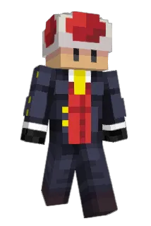 Kubiksonek11 Minecraft avatar full body