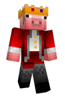 Kudsysteem Minecraft avatar full body