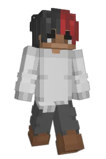 Kungarnaspelar Minecraft avatar full body