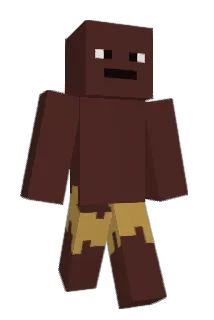 Kupplungssteine Minecraft avatar full body
