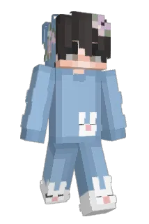 Kute Minecraft avatar full body