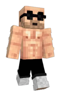 L02S Minecraft avatar full body