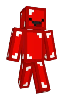 L1LB1SK1T Minecraft avatar full body