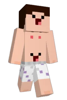 L2P_Arixon Minecraft avatar full body