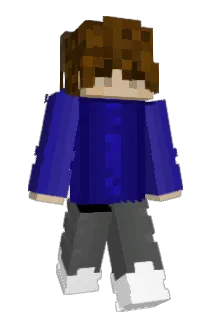 L2Zz Minecraft avatar full body