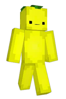 L3MON33545 Minecraft avatar full body