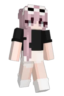 L3_Guin Minecraft avatar full body