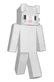 L4kota Minecraft avatar full body