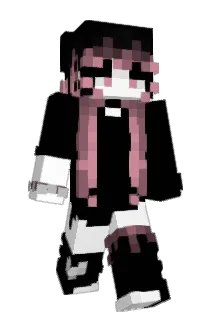 L8G Minecraft avatar full body