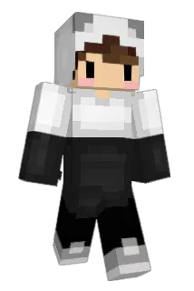 LA2015 Minecraft avatar full body
