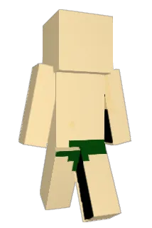 LAPATATE_NRV Minecraft avatar full body